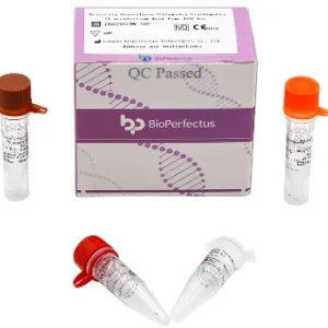 Hepatitis B Virus Real Time PCR Kit（RUO）