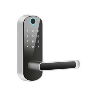 Smart Bluetooth Fingerprint Lock | Biometric Door Lock | Worldwide Shipping